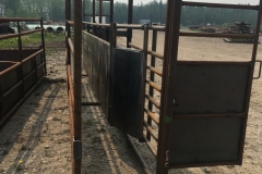 Cattle-squeeze-2
